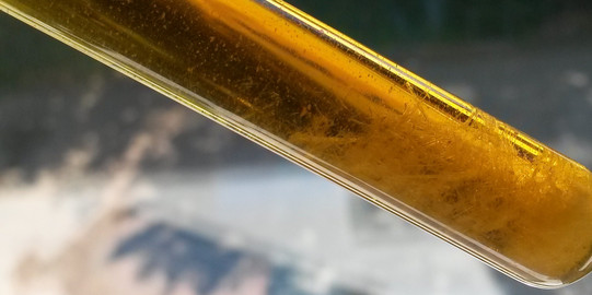Kristalisiertes Diester, orangene substanz mit Kristallen in Reagenzglas